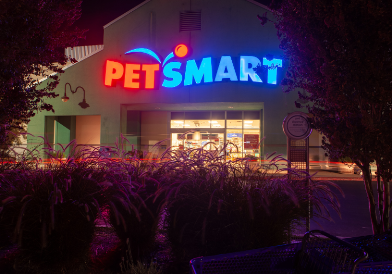 How Old Are Hamsters At PetSmart? Pet Store Hamster Age Small Pet Family